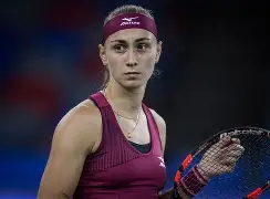 九游体育-科维托娃赛事官方发布问鼎冠军新规，中国队争议不断！的简单介绍